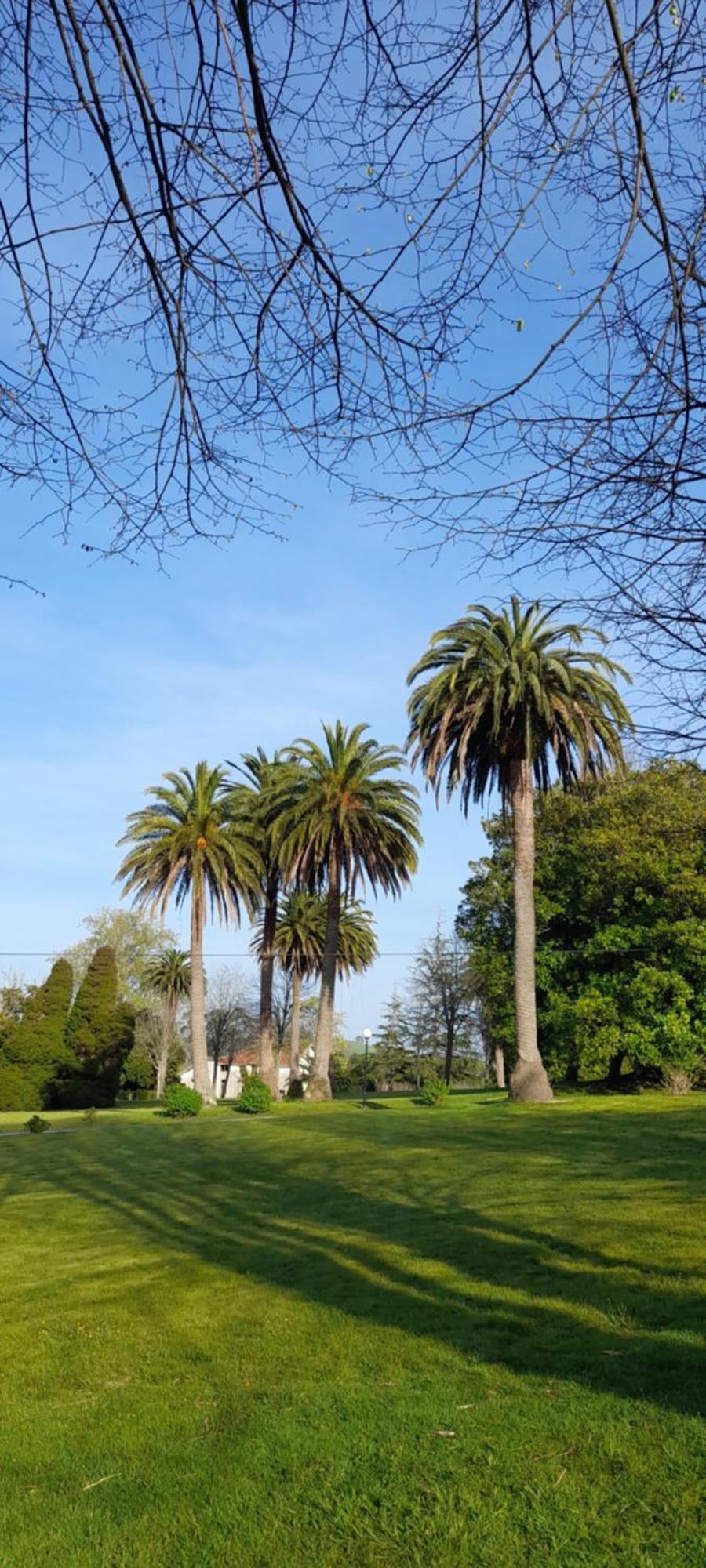 Apartamento Italia Colombres Ideal Familias 外观 照片